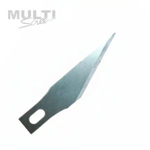 Cuchilla Punta Lanza